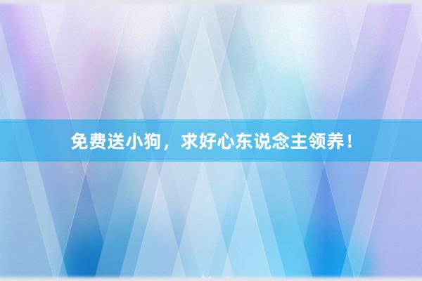 免费送小狗，求好心东说念主领养！