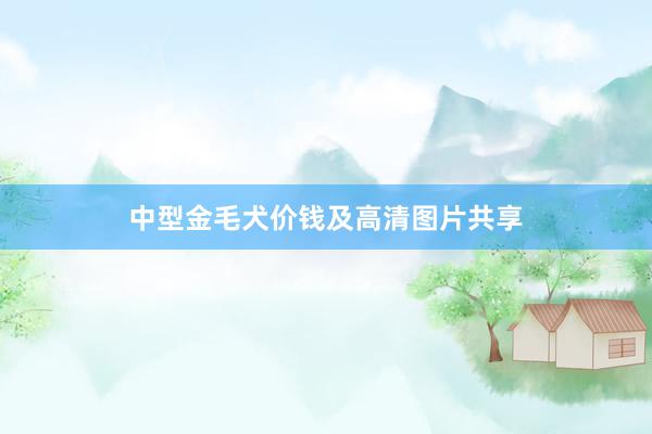 中型金毛犬价钱及高清图片共享